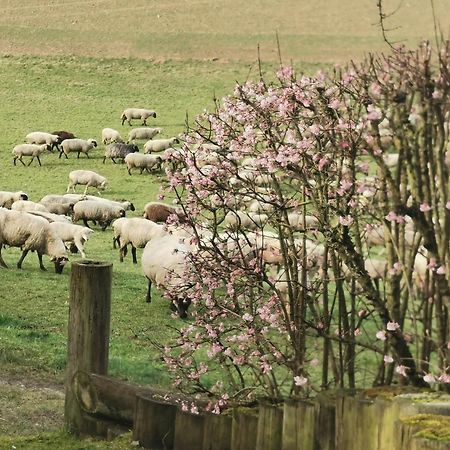 Ferienwohnung Auenland Braunfels Kültér fotó