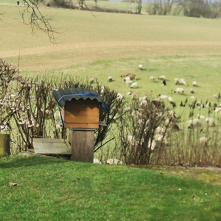 Ferienwohnung Auenland Braunfels Kültér fotó